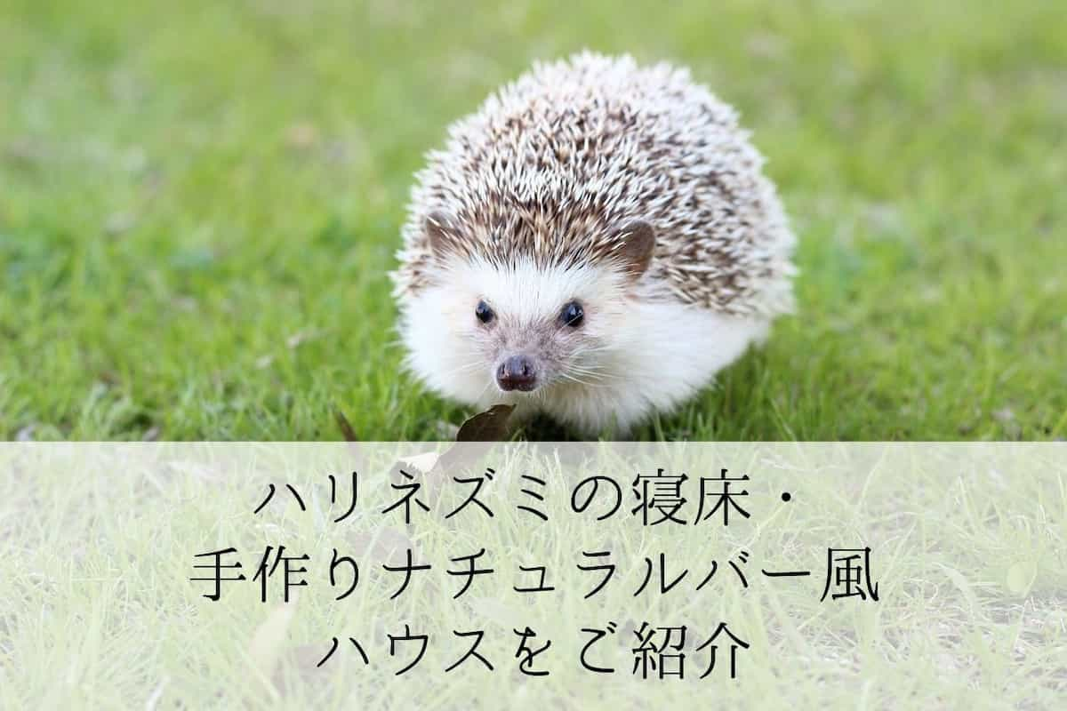 ハリネズミの寝床 手作りナチュラルバー風ハウスをご紹介 ののえブログ